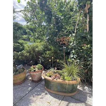 Renovated With Garden Holiday home