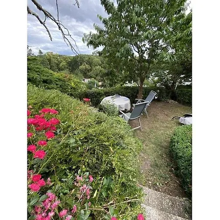 Renovated With Garden *