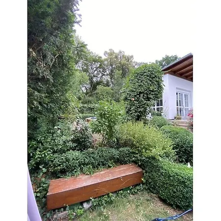 Renovated With Garden