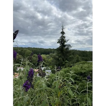 Renovated With Garden Holiday home